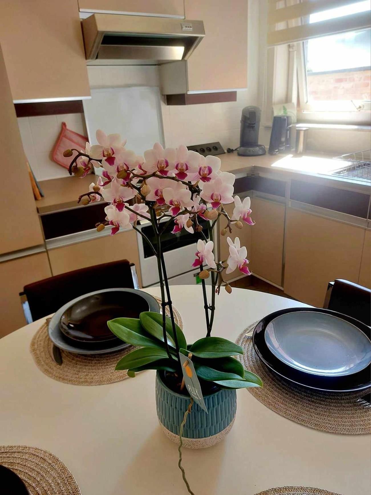 말데젬 Huys 34, Uw Thuis Weg Van Huis 빌라 외부 사진